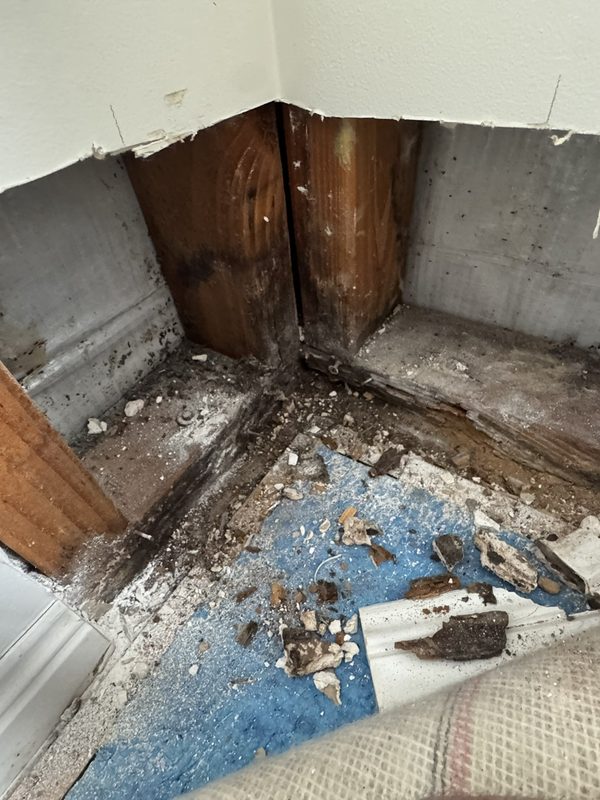 Wall lining cut away at an internal corner, exposing water-stained timber studs and a rotted, crumbling bottom plate, with debris scattered across the floor
