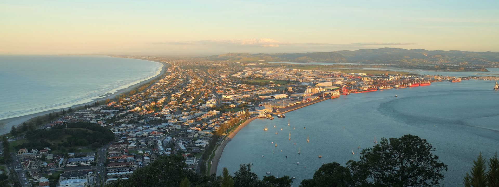 Evening view from the summit of Mauao over Mount Maunganui, the residential streets of the peninsula lit gold along Ocean Beach with the harbour and the port beyond